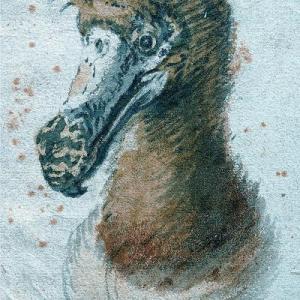 Meyltje ∞ 🍋 🏳️‍🌈