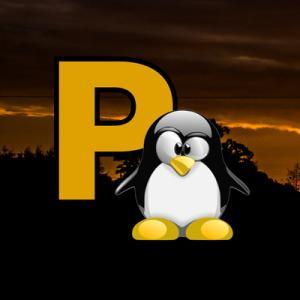 Palmerston North LUG