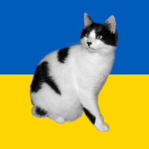 Salvaticu William Donovan