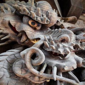 stop genocide punch nazis