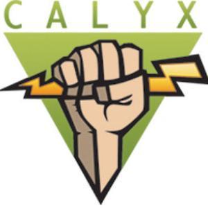The Calyx Institute