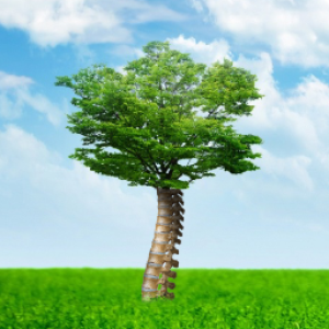 Brian Gerfort🇺🇦