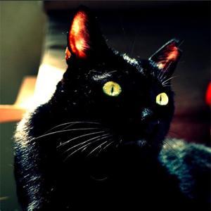 西木由堂/∫∅∟∪∫