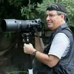 Alex Feldstein