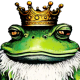 FroxZER01