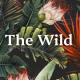 The Wild