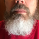 GrumpyGreybeard