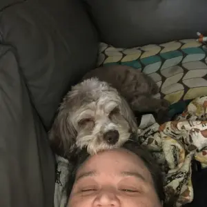 Queen of the Sinking Ship