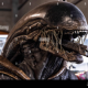 The Zany Xenomorph