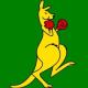 The Boxing Kangaroo