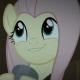 Fluttershy