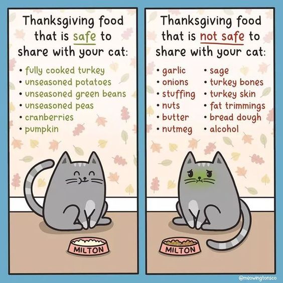 Pet Food Warning