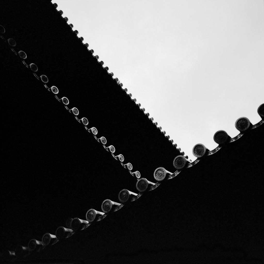 A black and white photograph of the roof of Nanzenji, in Kyoto, Japan. The black space broken up by diagonal slashes of roof tiles, against a grey sky.