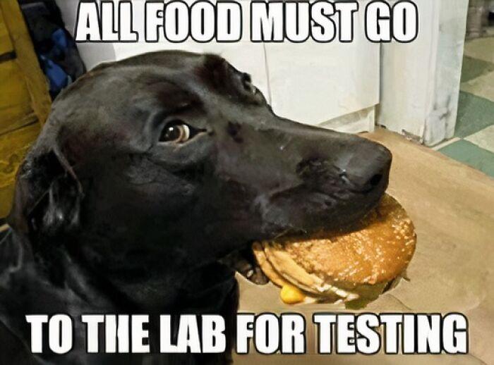 lab testing