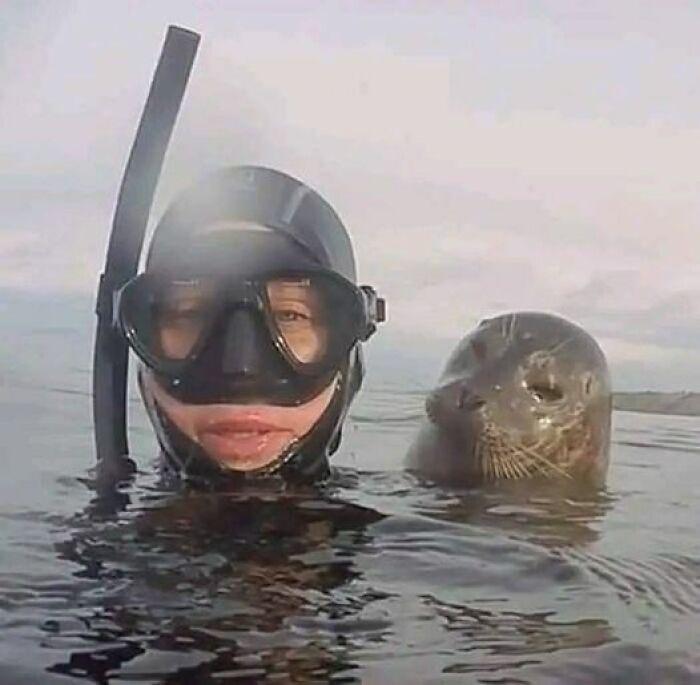 diver and seal