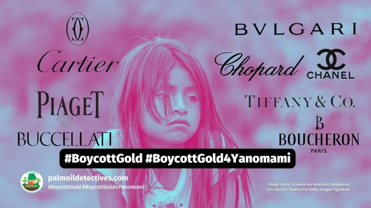 Gold mining in the Amazon devastates the Yanomami Boycott Gold