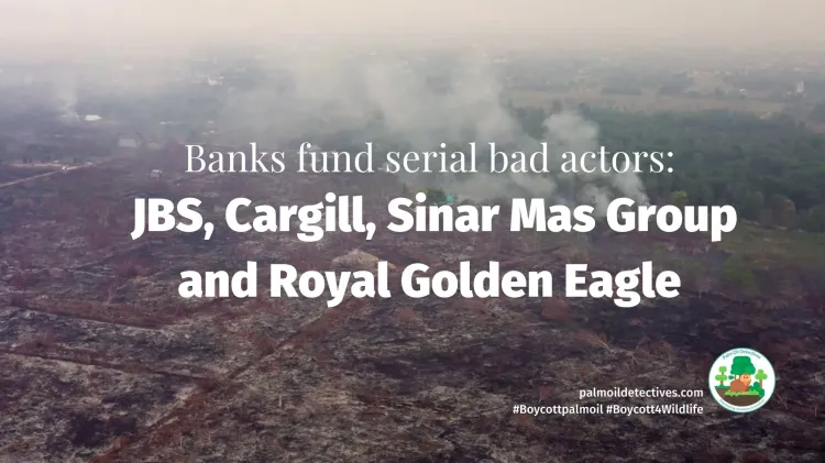 How banks and investors are bankrolling extinction and ecocide