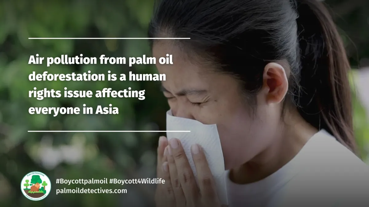 Air Pollution from Palm Oil: A Human Rights Issue