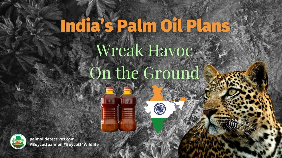 India’s Palm Oil Plans Wreak Havoc On The Ground