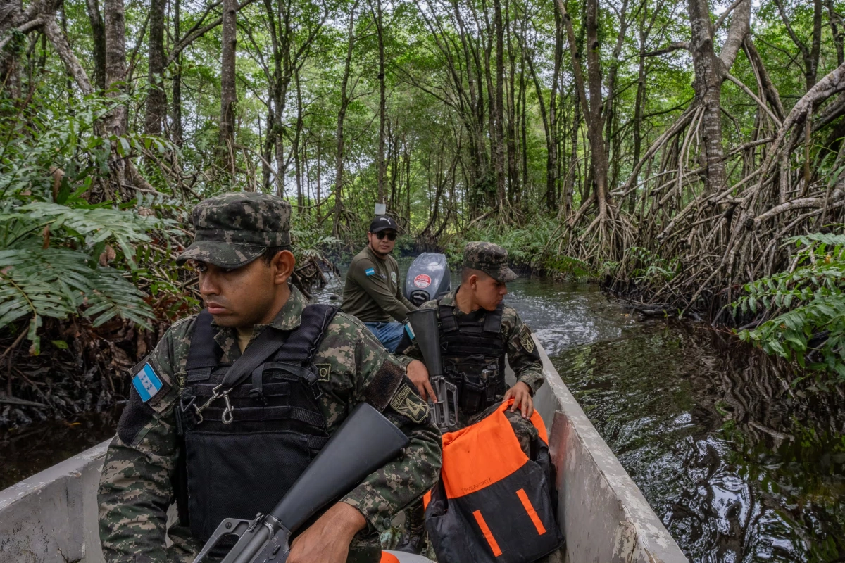 Deadly Harvest: How Demand for Palm Oil Fuels Corruption in Honduras