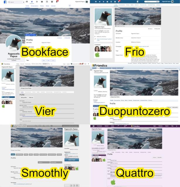 Cover Photo displayed on Profile page in diffrent Friendica themes