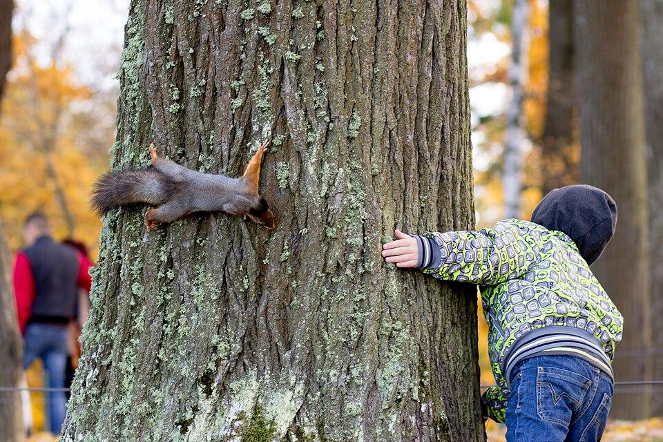 squirrel and child