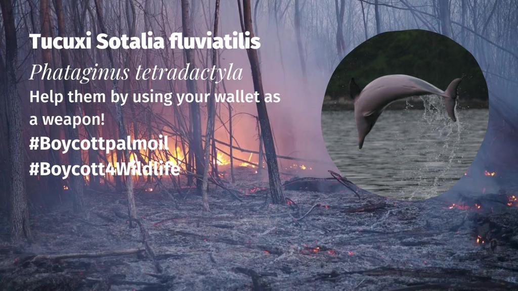 Tucuxi Sotalia fluviatilis boycott