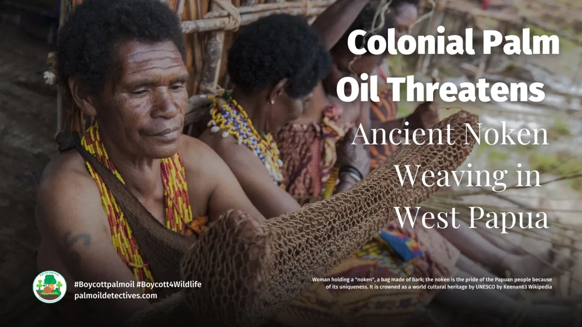 Palm Oil Threatens Ancient Noken Weaving in West Papua