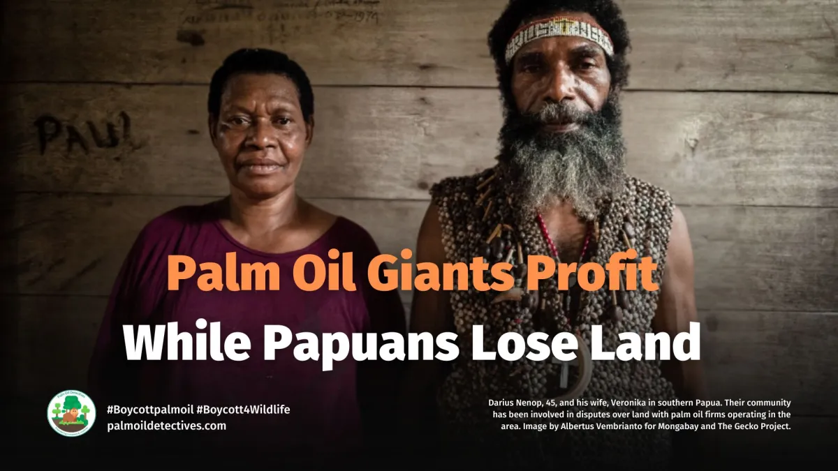 Greasing the Wheels of Colonialism: Palm Oil Industry in West Papua