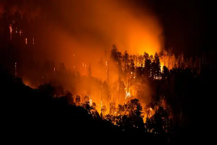 A warmer world means more forest fires. Ringo Chiu / shutterstock