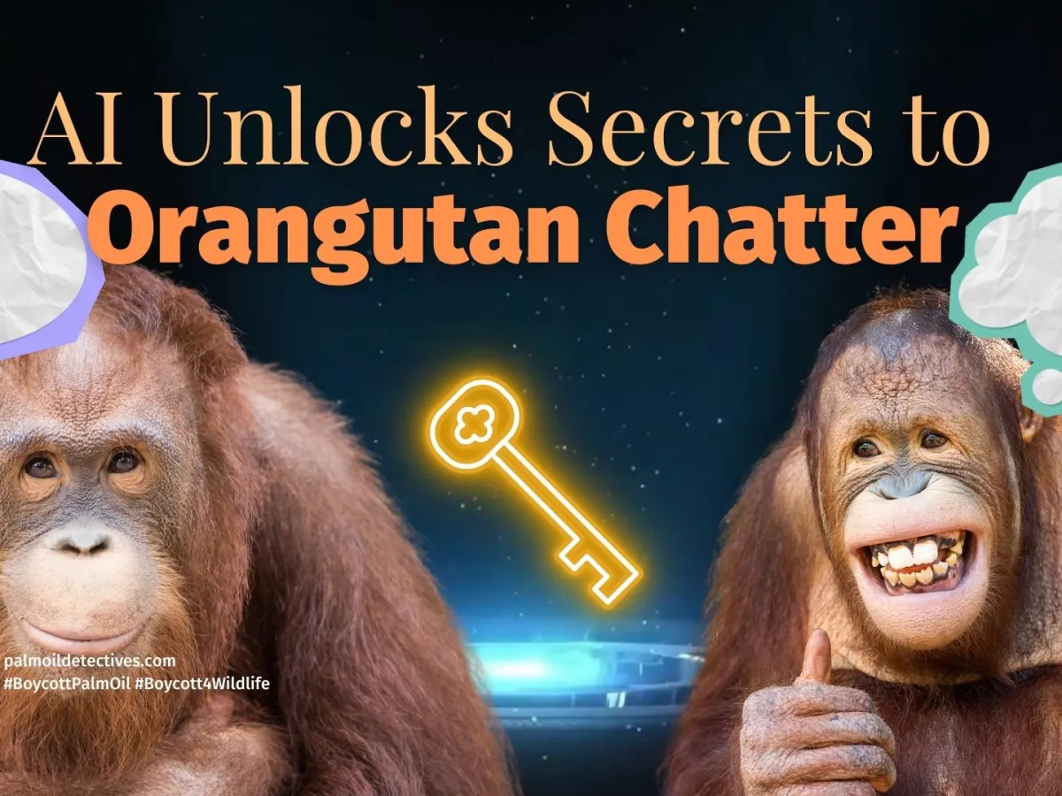 Research: AI Helps Unlock the Curious Secrets of Orangutan Chatter