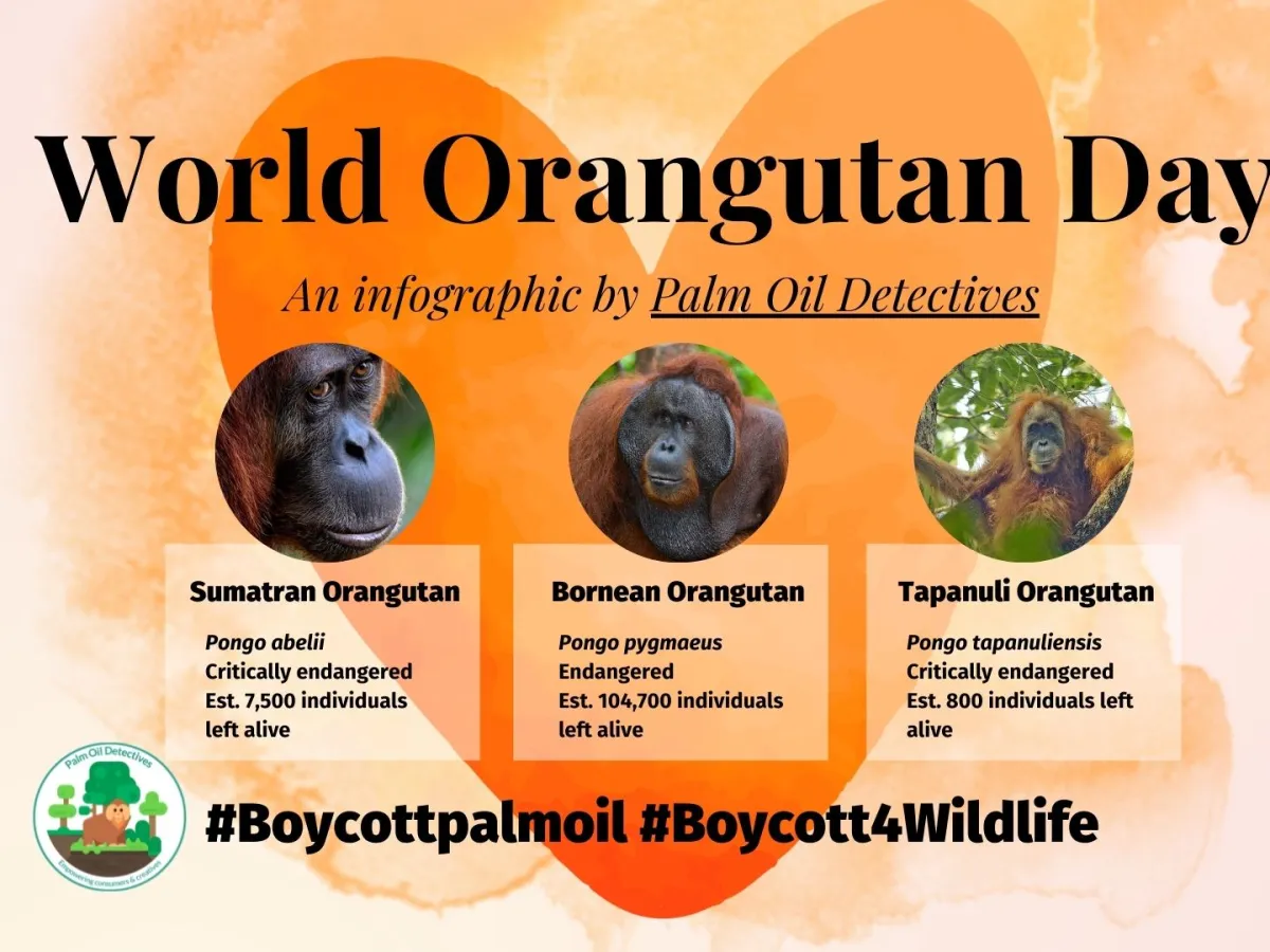 August 19th is #WorldOrangutanDay