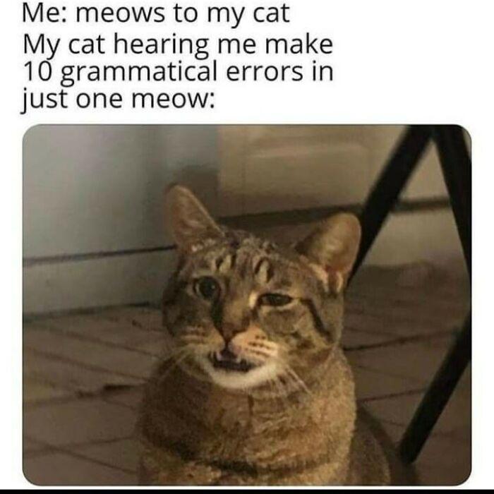 cat language
