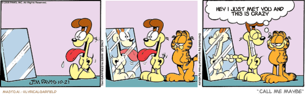 Original Garfield comic from October 21, 2008
Text replaced with lyrics from: ﻿Call Me Maybe

Transcript:
• Hey I Just Met You And This Is Crazy


--------------
Original Text:
• Garfield:  You're right, Odie. That other dog IS stupid looking.