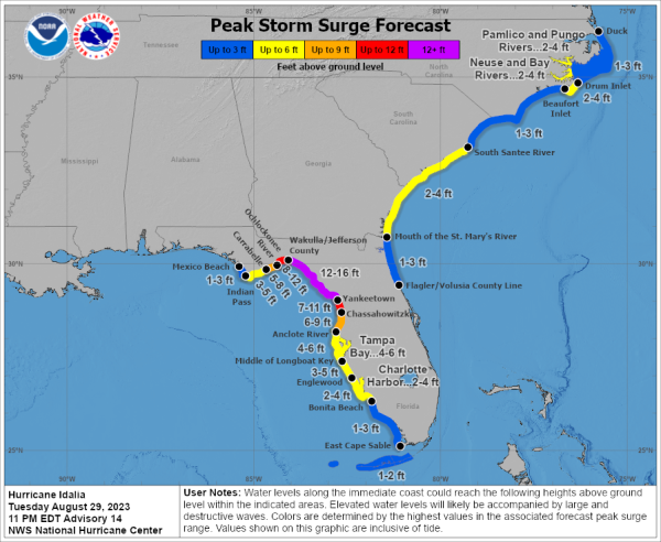 STORM SURGE:  The combination of a dangerous storm surge and the
tide will cause normally dry areas near the coast to be flooded by
rising waters moving inland from the shoreline.  The water could
reach the following heights above ground somewhere in the indicated
areas if the peak surge occurs at the time of high tide...

Wakulla/Jefferson County line, FL to Yankeetown, FL...12-16 ft
Ochlockonee River, FL to Wakulla/Jefferson County line, FL...8-12 ft
Yankeetown to Chassahowitzka, FL...7-11 ft
Chassahowitzka, FL to Anclote River, FL...6-9 ft
Carrabelle, FL to Ochlockonee River, FL...5-8 ft
Anclote River, FL to Middle of Longboat Key, FL...4-6 ft
Tampa Bay...4-6 ft
Middle of Longboat Key, FL to Englewood, FL...3-5 ft
Indian Pass, FL to Carrabelle, FL...3-5 ft
Englewood, FL to Bonita Beach, FL...2-4 ft
Charlotte Harbor...2-4 ft
Mouth of the St. Mary's River to South Santee, SC...2-4 ft
Beaufort Inlet to Drum Inlet, NC...2-4 ft
Pamlico and Neuse Rivers...2-4 ft
South of Bonita Beach to Chokoloskee, FL...1-3 ft
South Santee, SC to Beaufort Inlet, NC...1-3 ft
Drum Inlet to Duck, NC...1-3 ft
Chokoloskee, FL to East Cape Sable, FL...1-3 ft
Flagler/Volusia County Line, FL to Mouth of St. Mary's River...1-3
ft
Indian Pass to Mexico Beach...1 to 3 ft
Florida Keys...1-2 ft