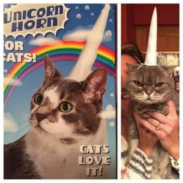 unicat