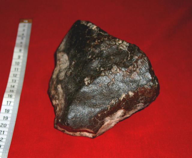 Mainmass of the Northwest Africa (NWA) 3009 Meteorite.

Norbert Gesser, CC0, via Wikimedia Commons.