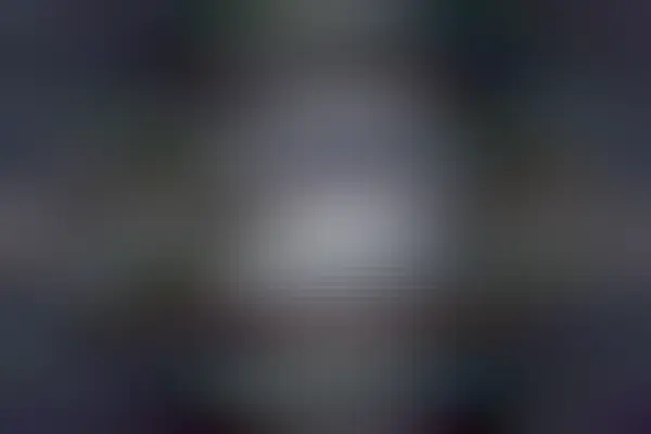 A galaxy is pictured that appears mostly blue and white with a prominent bar across its center. The galaxy is the LMC, and thousands of dim stars from our Milky Way, in the foreground, complete the frame.