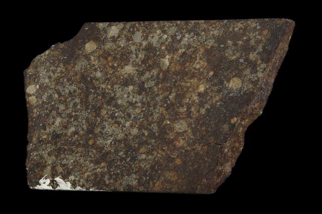 The Waltman Meteorite was found in 1948 in Wyoming, USA.

Photographer: Rodney Start, Copyright Museums Victoria / CC BY (Licensed as Attribution 4.0 International)