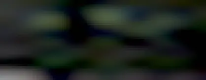 A flattened map of the Earth is shown illuminated only by how bright the night sky is.