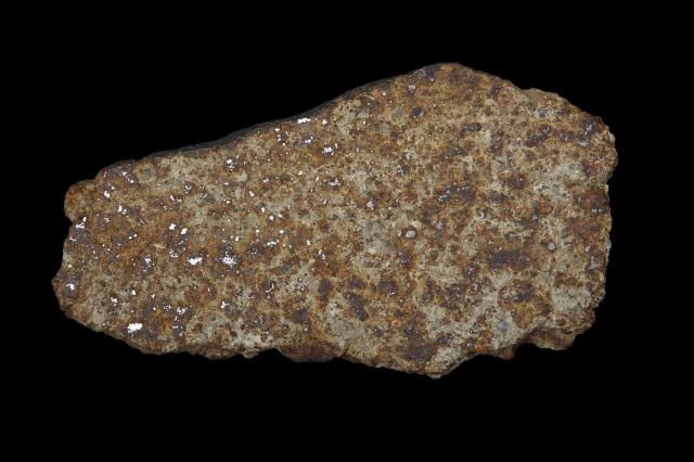 The Oliver Meteorite was found in Nebraska, USA in July 1984.

Photographer: Rodney Start, Copyright Museums Victoria / CC BY (Licensed as Attribution 4.0 International)

https://collections.museumsvictoria.com.au/specimens/287