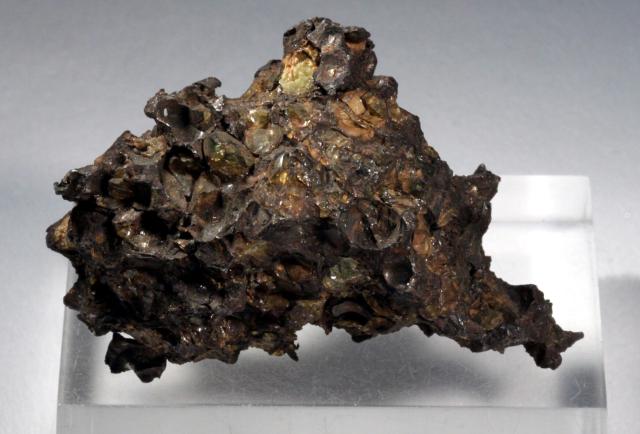 A piece of the Krasnojarsk Meteorite shown to Pallas in 1772 by Medvedev.

Courtesy of the Peabody Museum of Natural History; Open Access, publicdomain/zero/1.0; Mineralogy and Meteoritics, Yale University; https://collections.peabody.yale.edu/search/Record/YPM-MIN-010306

Cropping and color edits.