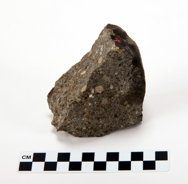 A fragment of the Parnallee Meteorite that fell on February 28,1857 in Tamil Nadu, India.

Courtesy of the Peabody Museum of Natural History; Open Access, publicdomain/zero/1.0; Mineralogy and Meteoritics, Yale University; https://collections.peabody.yale.edu/search/Record/YPM-MIN-100379

Color edits.