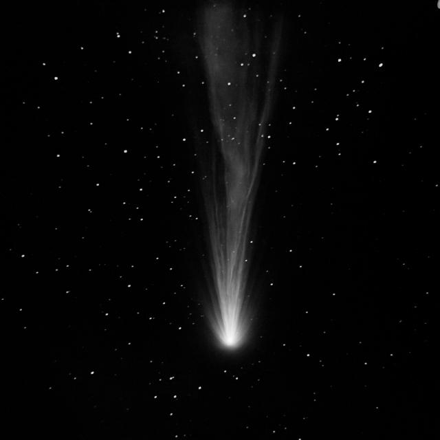 Comet Morehouse on November 16, 1908; glass photographic plate from the Heidelberg Observatory.

Aster Cowart, CC BY-NC 2.0, via Flickr