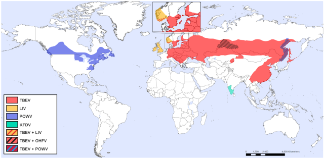 Map of geographical distribution of Tick-Borne Encephalitis Virus and its variants across northern latitudes.