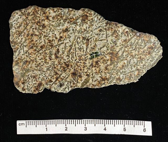 The Erg Chech 002 Meteorite was found in 2020 in Algeria.

Courtesy of the Peabody Museum of Natural History; Open Access, publicdomain/zero/1.0; Mineralogy and Meteoritics, Yale University; https://collections.peabody.yale.edu/search/Record/YPM-MIN-101914.001