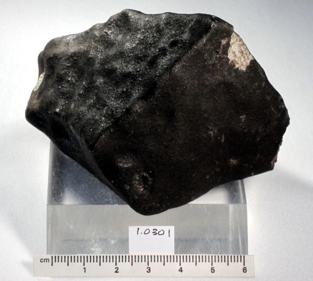 A fragment of the New Concord Meteorite that fell on May 1, 1860 in Ohio, USA.

Courtesy of the Peabody Museum of Natural History; Open Access, publicdomain/zero/1.0; Mineralogy and Meteoritics, Yale University; https://collections.peabody.yale.edu/search/Record/YPM-MIN-010301 (Misslabelled as Iron)

Color and cropping edits.