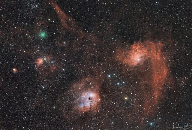 Comet C/2018 Y1 (Iwamoto) with the nebulae IC410 & IC405.

José Jiménez, CC BY 2.0, via Flickr: https://flic.kr/p/SRuyXw