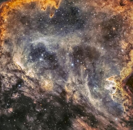 a detail of the nebula, you can guess a lion's head. dark spots for the eyes, a protruding white spur as an eyebrow, nose in some light gold lines, flamy orange mane around