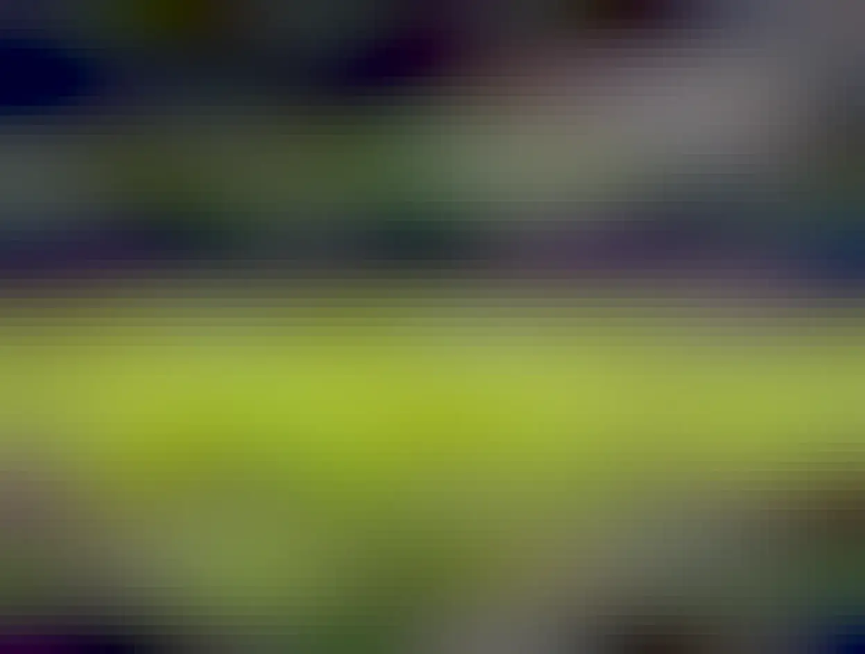 The big green field inside Austin FC stadium 